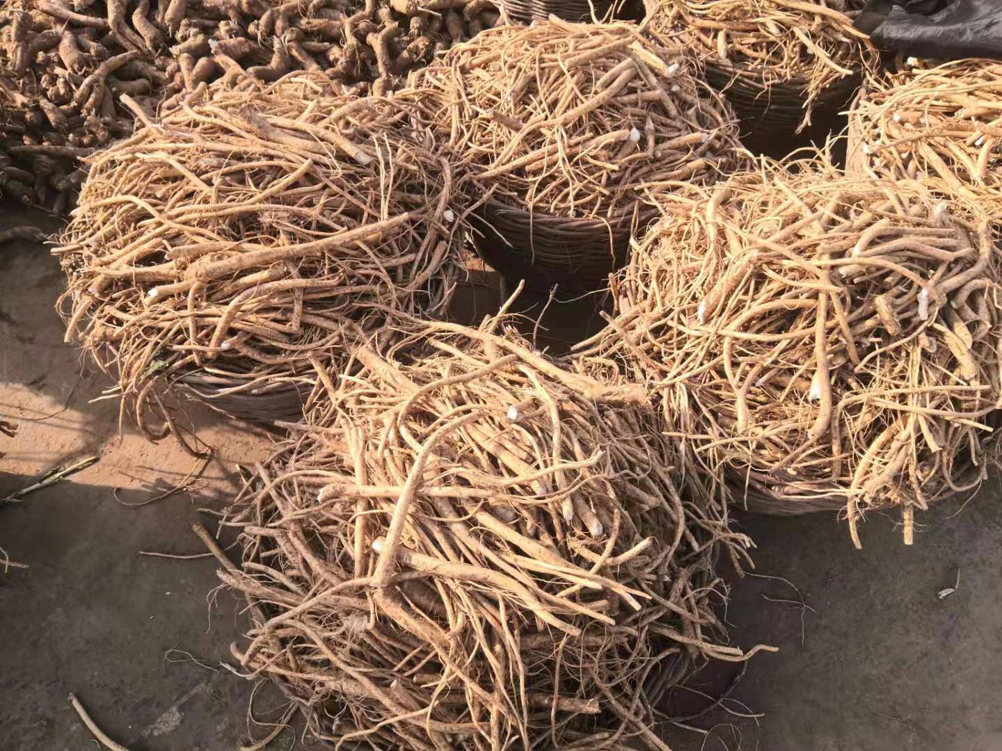 告訴你芥末和辣根的區(qū)別！